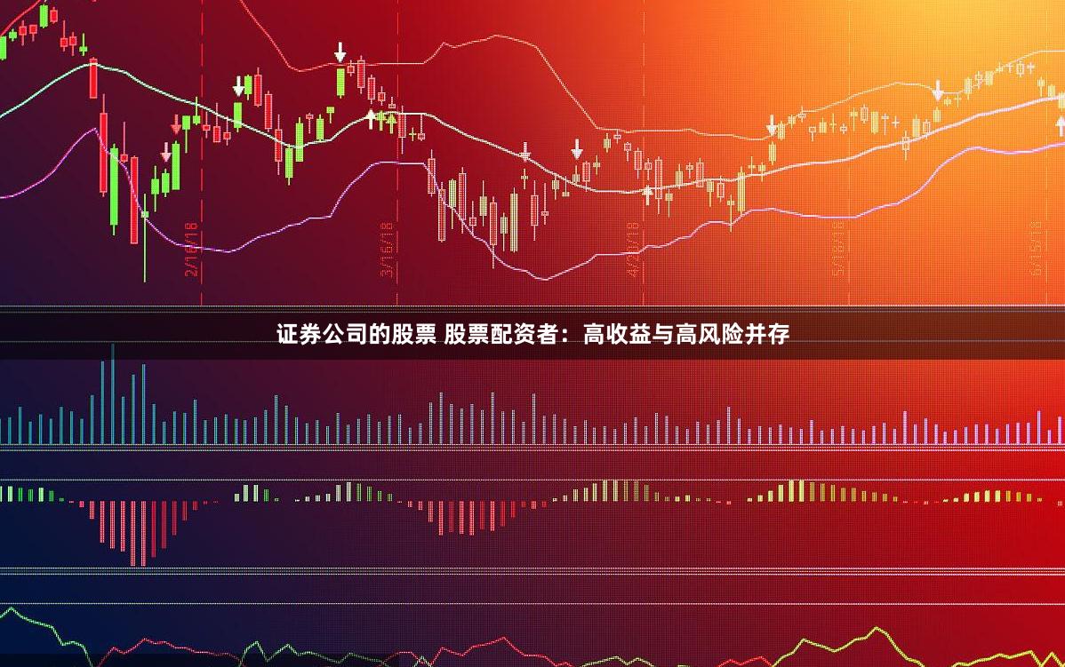 证券公司的股票 股票配资者：高收益与高风险并存